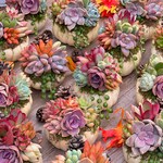 Fall Decorations
