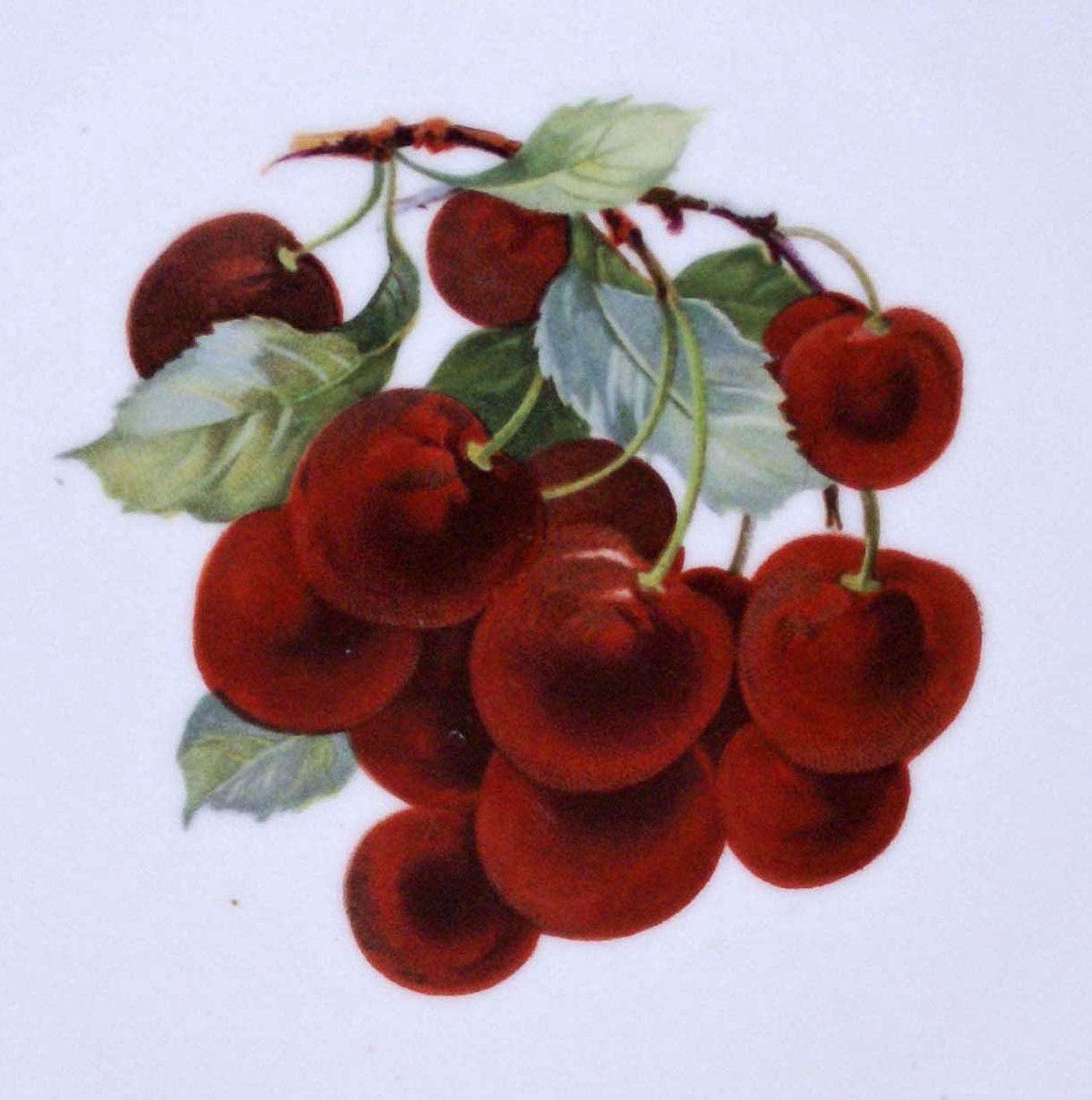 Antikes Porzellan Teller Krautheim Selb Bavaria handbemalt | Etsy