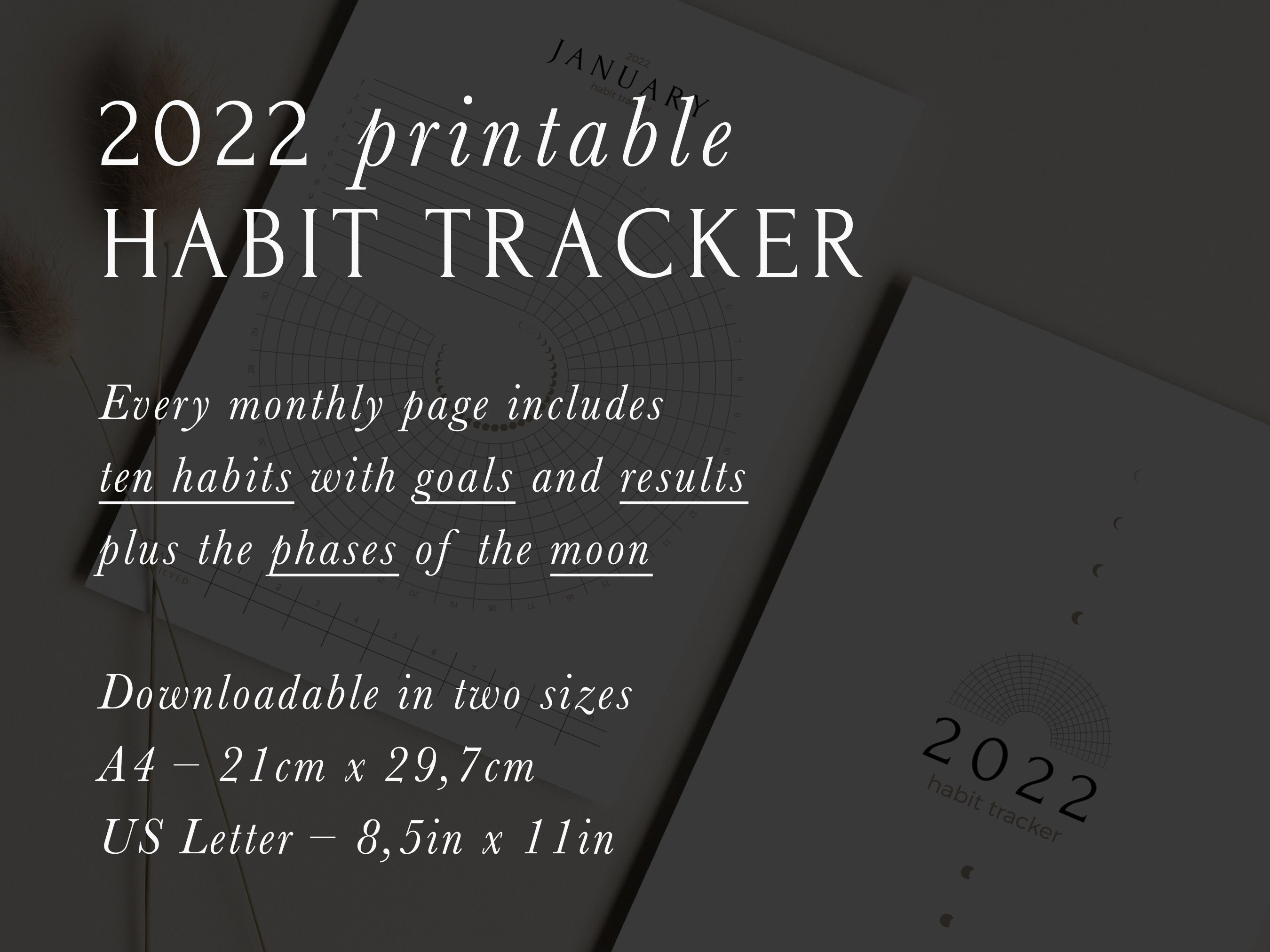Printable Habit Tracker Habit Tracker PDF Monthly Habit Etsy UK