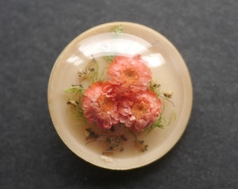 Pale pink lucite brooch with pink dried flowers