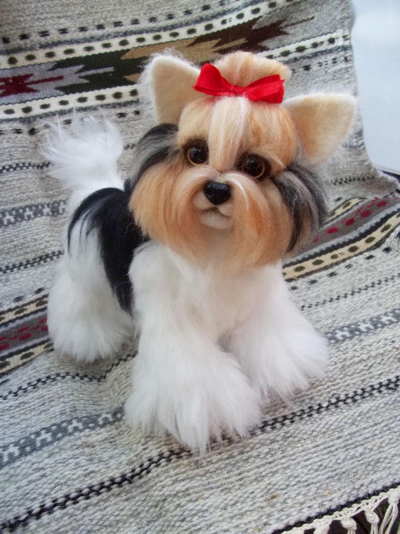 Dog Beaver Yorkshire Terrier Beaver York Yorkshire Terrier Etsy