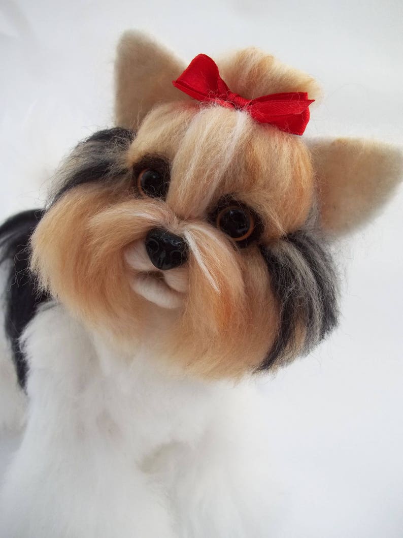 Dog Beaver Yorkshire Terrier Beaver York Yorkshire Terrier Etsy