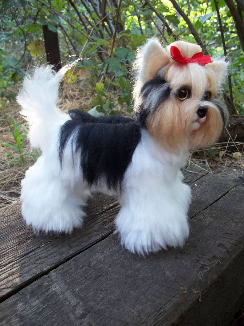 Dog Beaver Yorkshire Terrier Beaver York Yorkshire Terrier Etsy