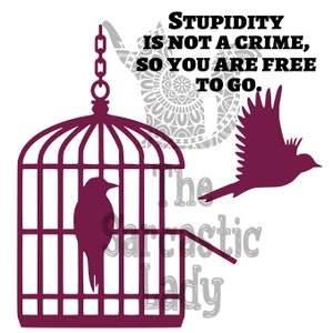 Stupidity Is Not A Crime, So You Are Free To Go SVG
