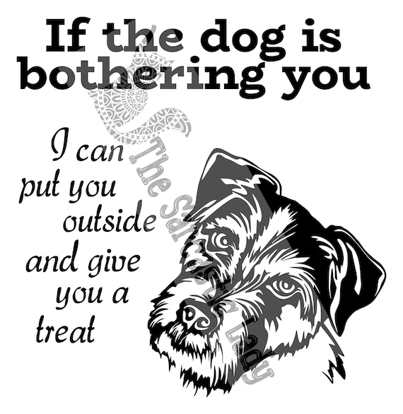 How Do I Get My Puppy Used To Being Outside