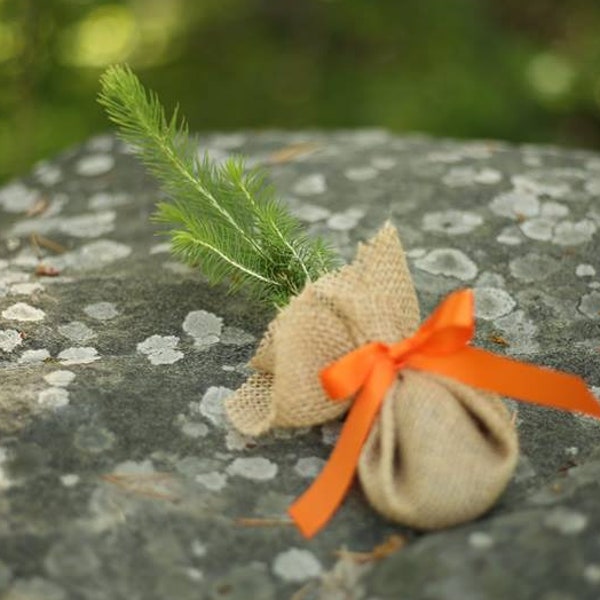 Spruce Sapling Wrapped In Burlap. Woodland Baby Shower Trees. Growing Keepsakes