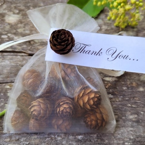 Scented Pine Cone Sachets. Minimum Quantity of 25. Small Cone Favours.