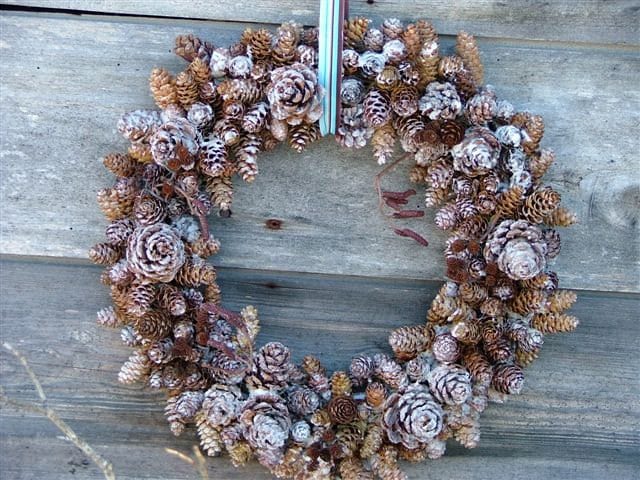 Couronne De Pomme pin