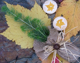 White Spruce seedling, Wedding Favour