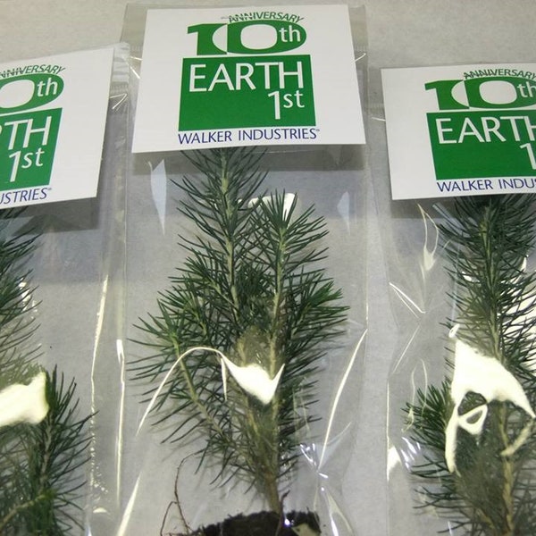 Promotional giveaway seedlings