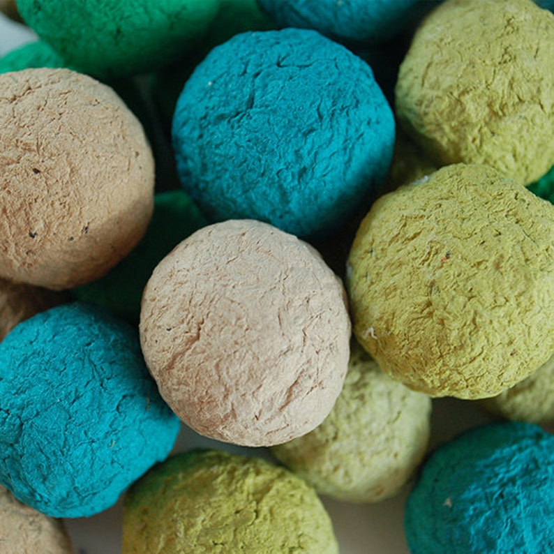 Bulk Wildflower Seed Bomb Etsy Denmark