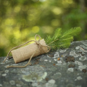 Tree Seedling wrapped in burlap and tied with twine, Wedding Favor trees, Evergreen seedling favour,
