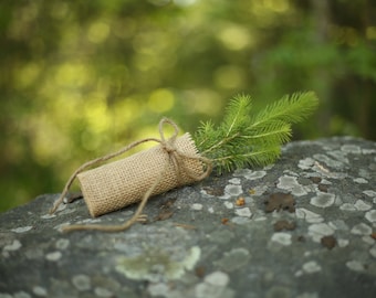 Tree Seedling wrapped in burlap and tied with twine, Wedding Favor trees, Evergreen seedling favour,