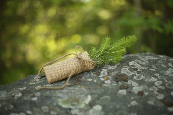 What's with the burlap wrap? : r/arborists