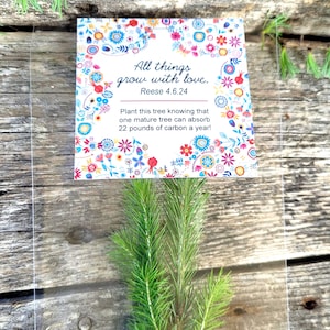 Promotional Giveaway Seedlings With Custom Printed Tag