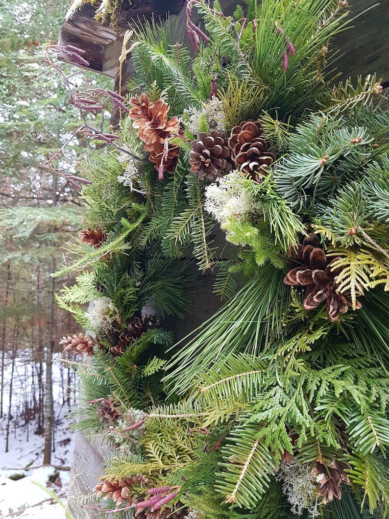 K&ouml;nnte beinhalten: Ein gr&uuml;ner Weihnachtskranz mit Kiefernnadeln, Zeder und Tannenzapfen. Der Kranz ist mit getrockneten Blumenzweigen und wei&szlig;em Flechten verziert.