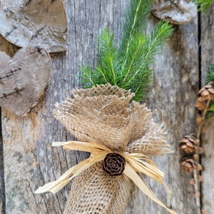 Spruce seedling in burlap wrap and tied with raffia, Wedding Seedling Favor, Woodland Baby Shower Favor, Memorial tree gift