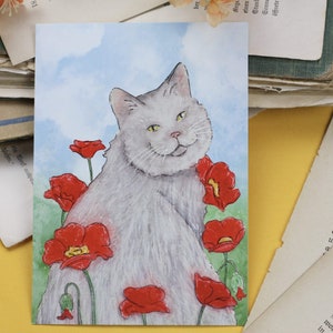 Postkarte - Katze im Mohnblumenfeld