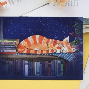 Postkarte - Schlafende Katzen zwischen Büchern