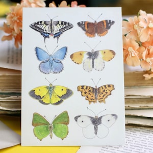 Postcard - Butterflies
