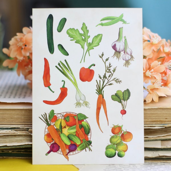 Postkarte - Gemüse - Tomaten, Gurken, Knoblauch und mehr - Handgemalte Illustration