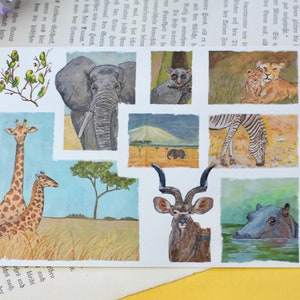 Cartolina - Fauna selvatica africana - Animali dall'Africa - Illustrazione a guazzo - Collezione di album da disegno