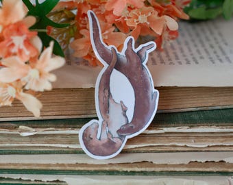May include: A sticker showing two otters cuddling. The otters are illustrated in brown and tan hues, set against a white backdrop. The sticker is positioned on a pile of aged books, with orange flowers visible in the background.
