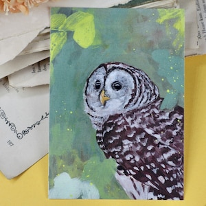Carte postale - chouette rayée - carte oiseau - illustration gouache