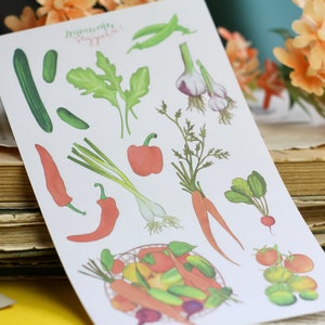 Stickerbogen - Gemüse - Veggies - Tomaten, Gurke, Radieschen, Knoblauch - Bullet Journal - Eigene Illustrationen