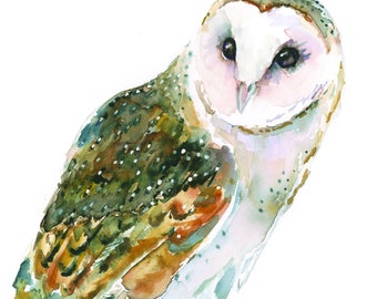 Owl Watercolor Reproducion Quality Art Print on Paper