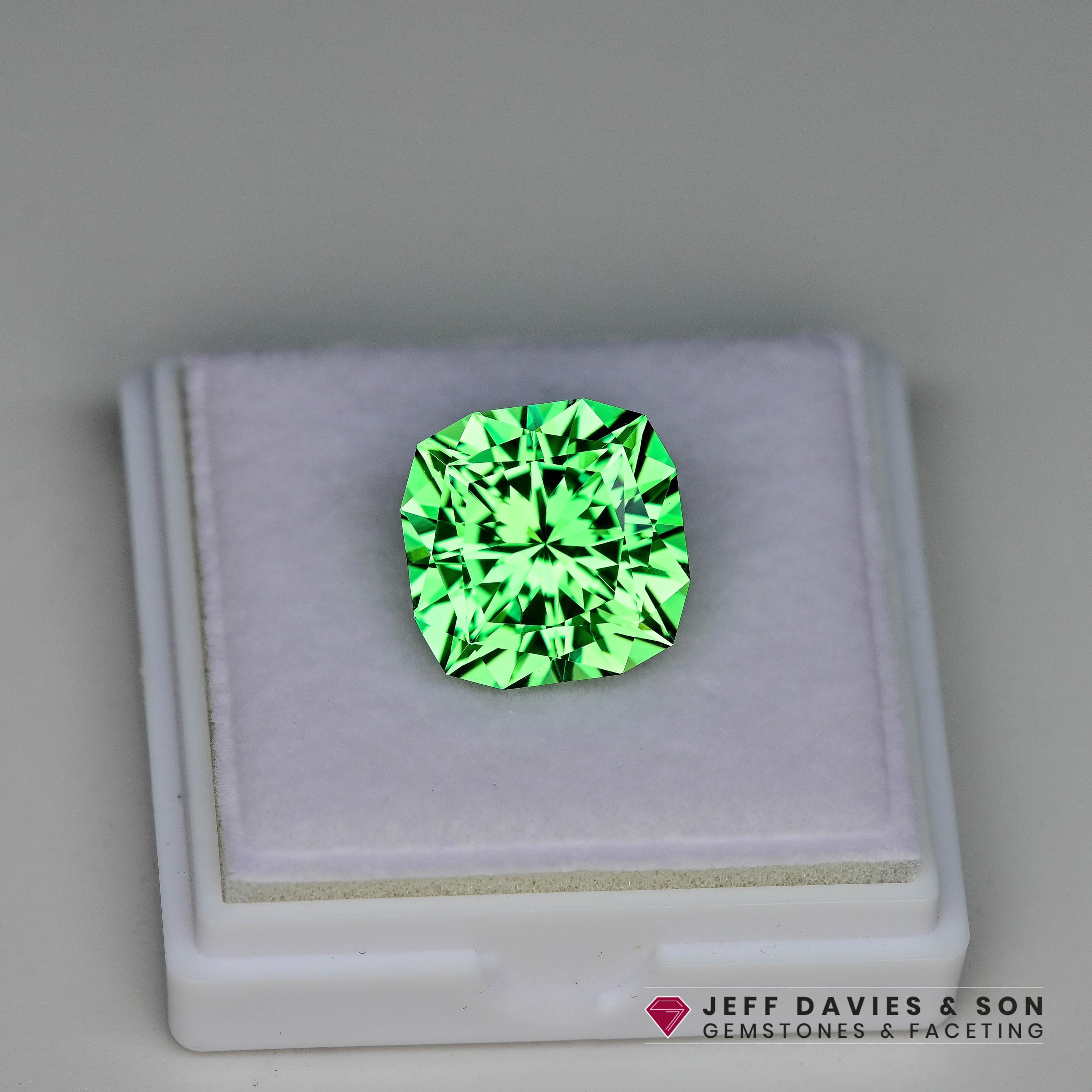 18.22ct LAB Vivid Green Sapphire - Precision Cut - Etsy
