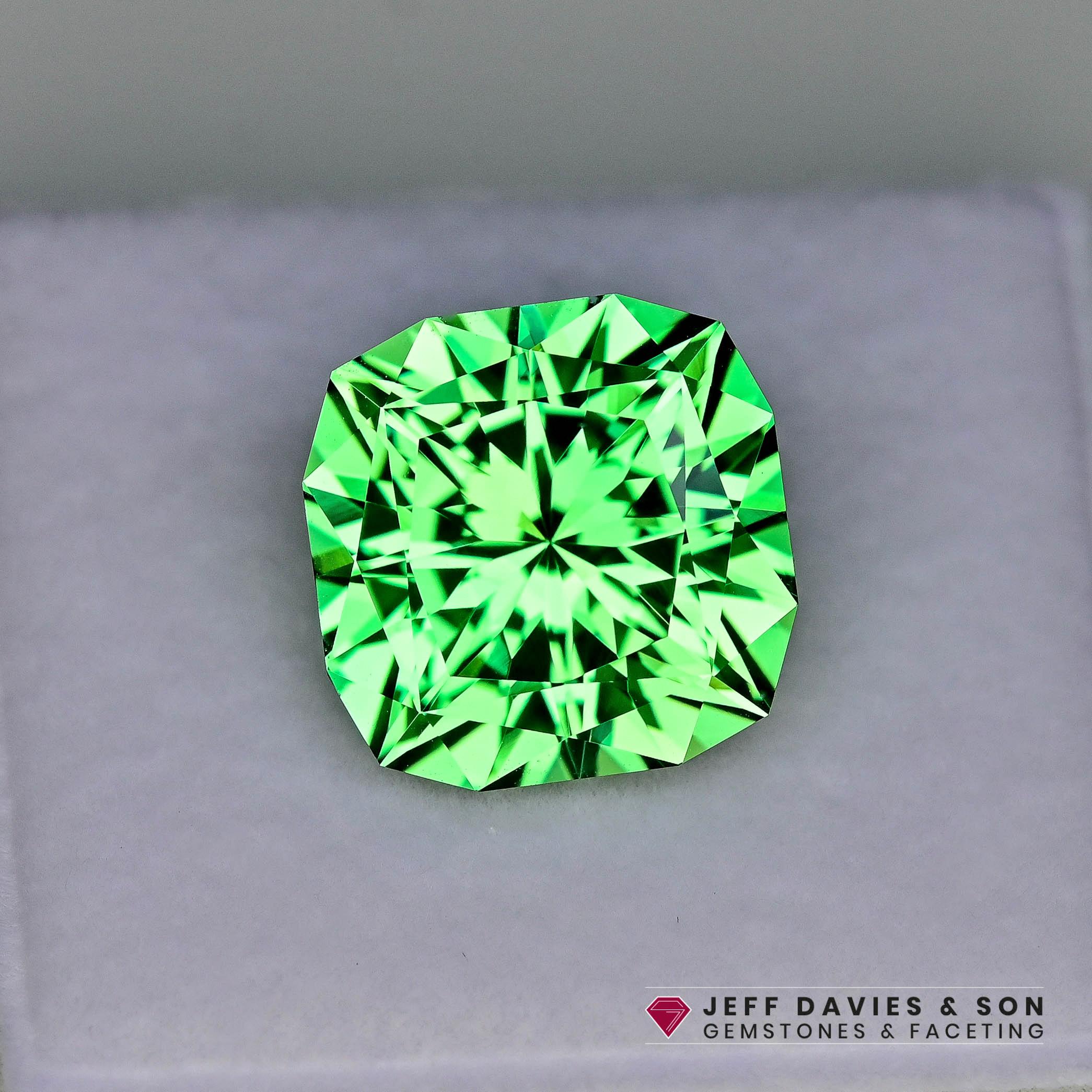 18.22ct LAB Vivid Green Sapphire - Precision Cut - Etsy