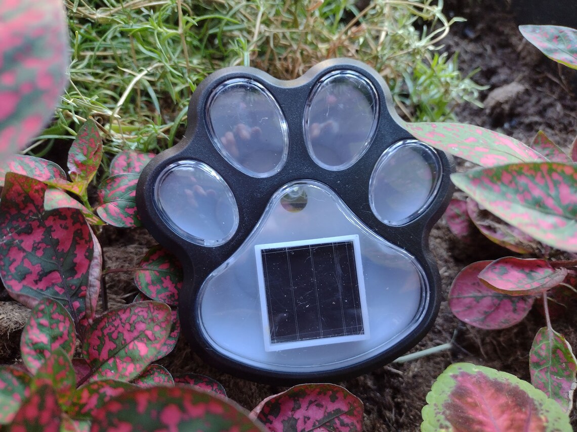 Paw Print Solar Light Pet Memorial Dog Cat Grave Marker Garden Etsy