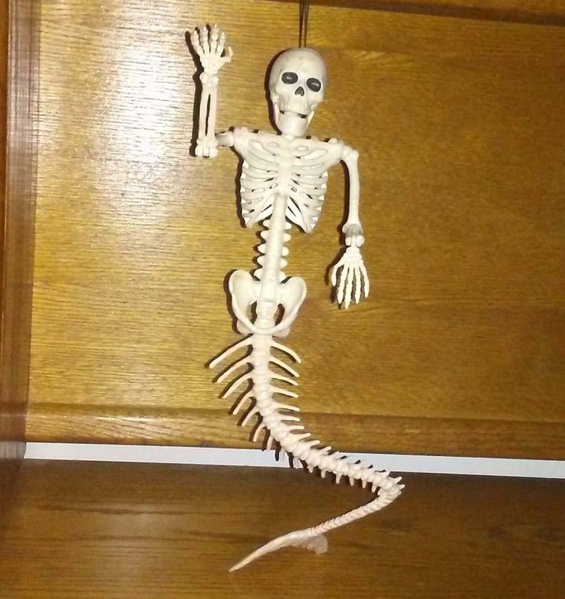 Skeleton Mermaid 21 Fish Bones Poseable Jaw Head Shoulder Elbow Wrist Tail New on Card Unique Gift Idea!