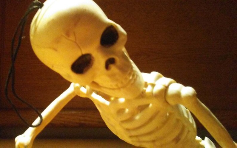 Skeleton Mermaid 21 Fish Bones Poseable Jaw Head Shoulder Elbow Wrist Tail New on Card Unique Gift Idea!
