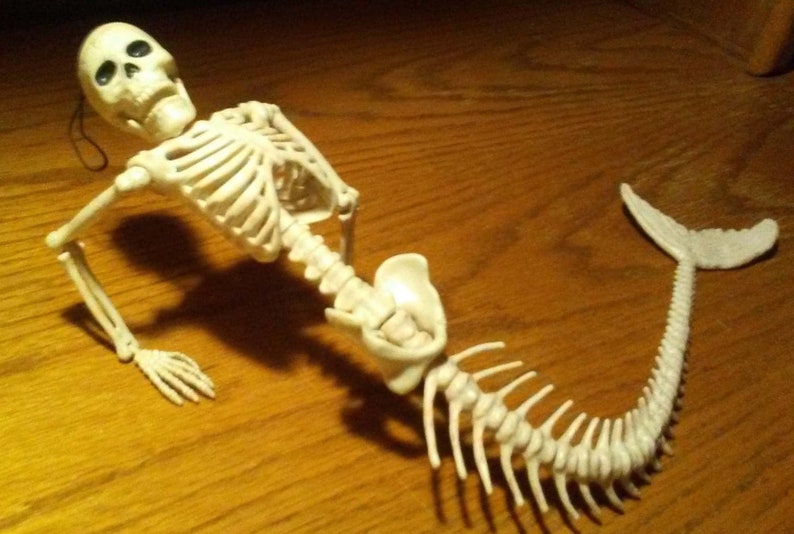Skeleton Mermaid 21 Fish Bones Poseable Jaw Head Shoulder Elbow Wrist Tail New on Card Unique Gift Idea!