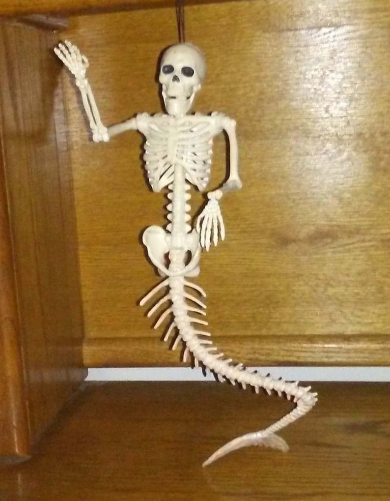 Skeleton Mermaid 21 Fish Bones Poseable Jaw Head Shoulder Elbow Wrist Tail New on Card Unique Gift Idea!