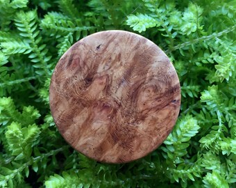26mm Organic Amboyna Burl Plug (single), finished with local beeswax