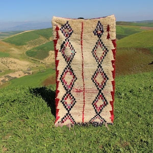 May include: A rectangular, cream-colored rug with a geometric diamond pattern in red, black, and purple. The rug has a textured appearance and a red border. The background features green hills under a blue sky.