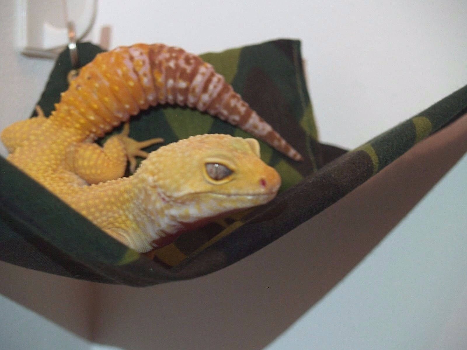 Leopard Gecko Hammock Free Extras Etsy