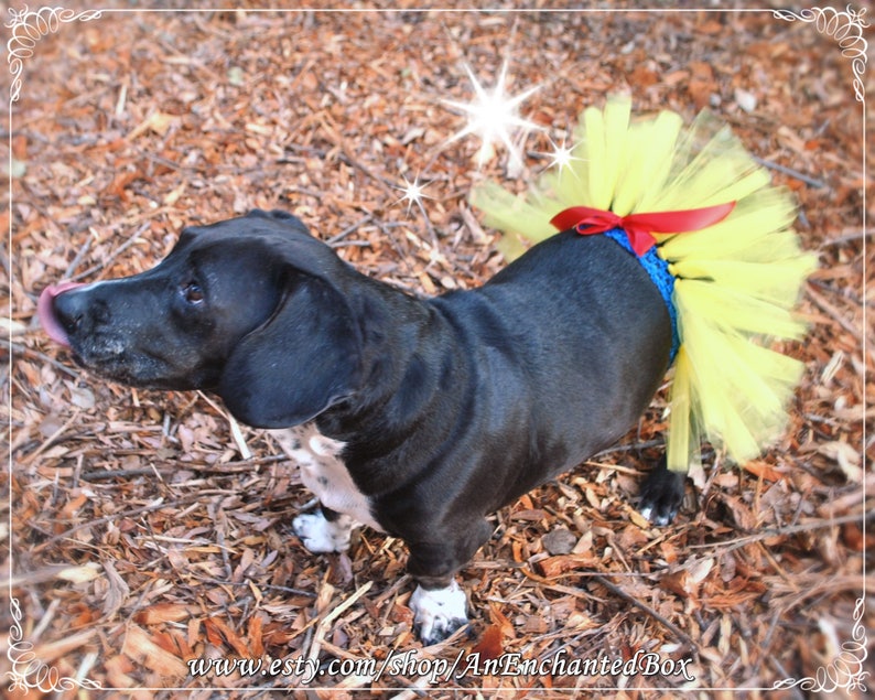 SNOW WHITE TUTU Skirt for Dogs Puppy Puppies Dog Furry Etsy