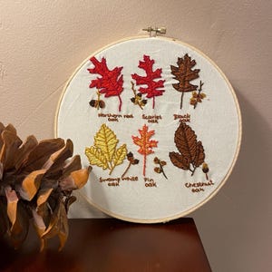 May include: Embroidered hoop art featuring different types of oak leaves, including Northern Red Oak, Scarlet Oak, Black Oak, Swamp White Oak, Pin Oak, and Chestnut Oak. Each leaf is stitched in a different colour and labelled with its name.