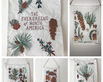 The Evergreens of North America Hanging Tapestries