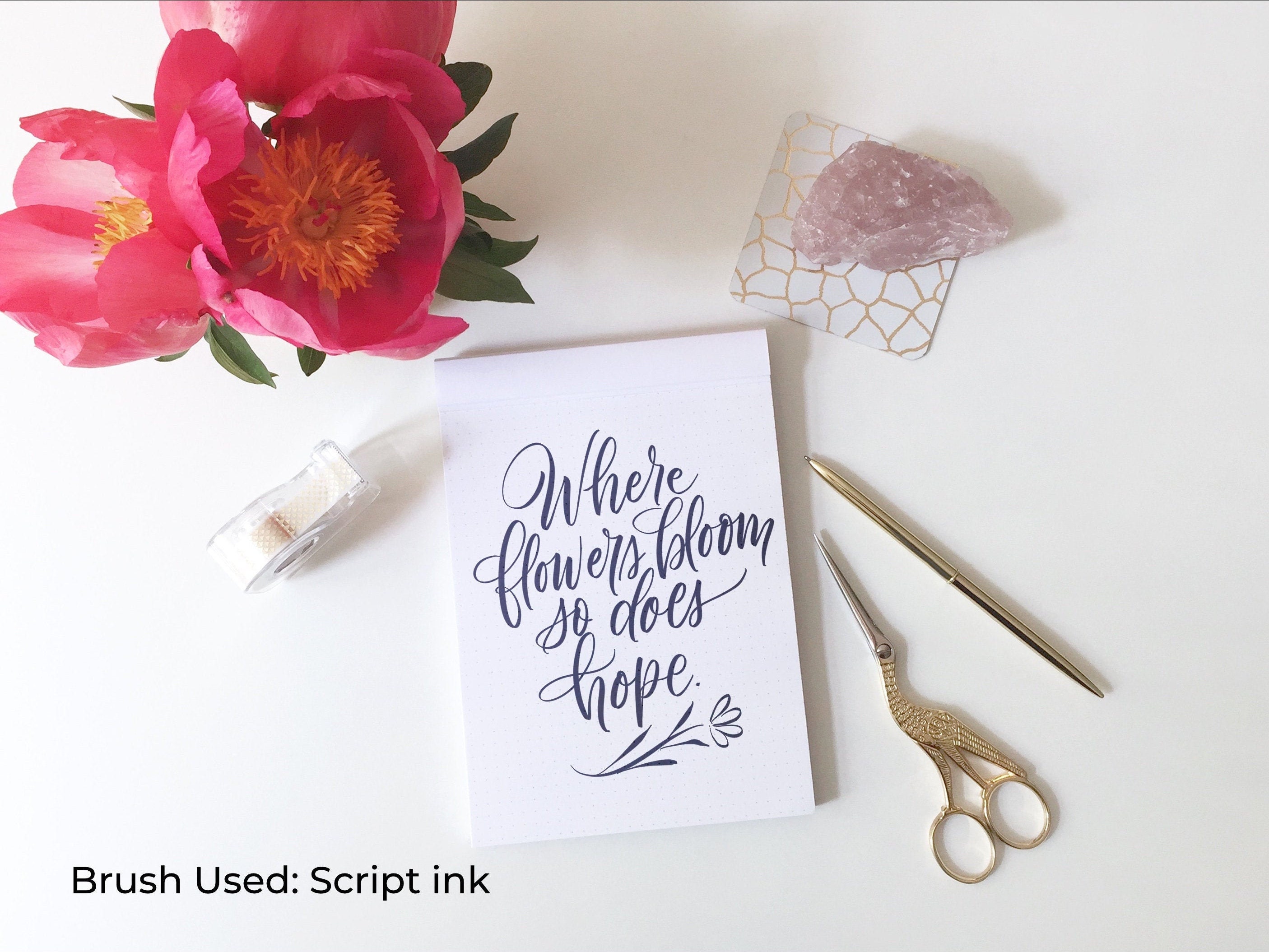 Script Procreate Brush Pack 6 Brushes plus more