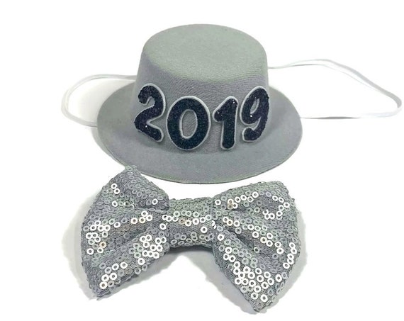 New Years Eve Hat || Dog Costume || 2019 || New Years || Party Hat || Top Hat || Silver Hat