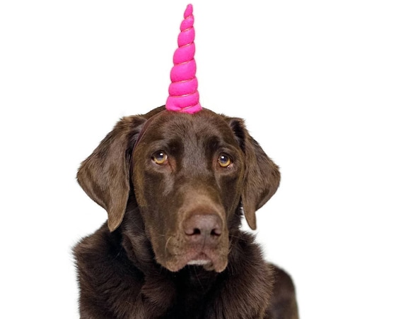 Dog Birthday Hat || Dog Unicorn Headband || Unicorn Headband for Dog || Pet Unicorn Costume || Dog Unicorn || Unicorn Dog