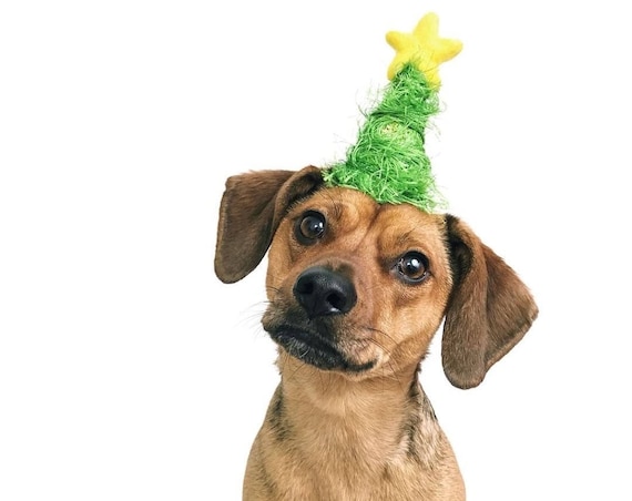 Christmas Tree Hat || Animal Hat || Dog hat || Holiday Accessory