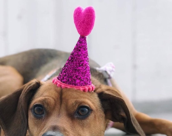 Heart Hat || Dog Party Hat ||February Birthday || Pink and Red || Love