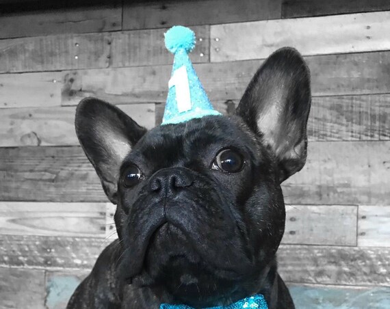 Dog Birthday Hat and Large Bow Tie || Dog Gift || Pet Birthday Party Outfit || Pet Puppy Cat Kitten || Kitty Pig Birthday Crown |