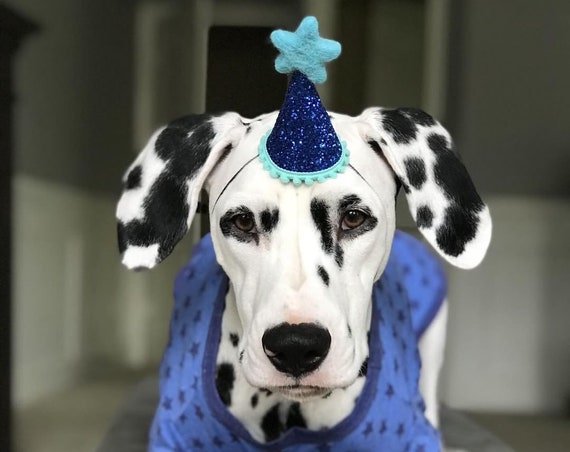 Dog Birthday || Dog Costume || Dog Birthday Hat || Dog Party Hat || Dog Birthday Party || Dog Clothes || Dog Crown